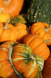 pumpkins