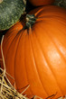 pumpkin close up