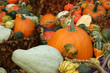 halloween pumpkins