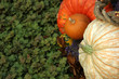 pumpkins and greenery