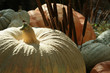 pumpkins