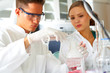 scientists working