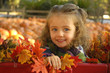 pumpkin patch girl
