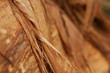 bark3