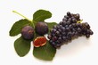 figues & raisin figues & raisin