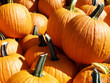 pumpkins