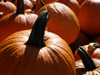 pumpkins