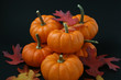 pumpkin harvest