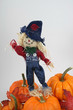 happy scarecrow