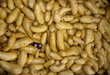 pommes de terre