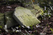 fallen headstone fallen headstone