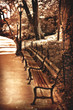 park bench scene