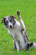 saying hi saying hi