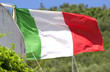 flagge