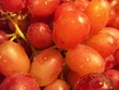 wet red grapes