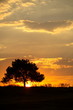 african sunset
