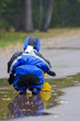 drizzling rain (21)