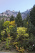 fall colors in high mountains