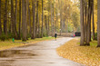 drizzling rain (2)