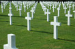 american graveyard