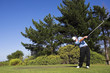 golf #43