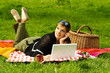 busy picnic