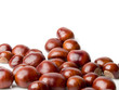 chestnut
