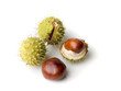 four chestnuts