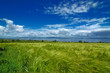 irish country