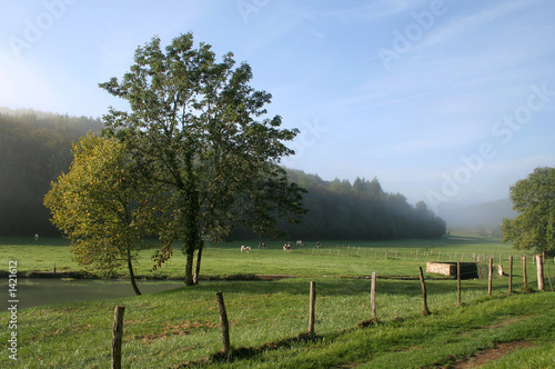 campagne bourguignonne