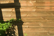 background from old boards with a ladder