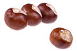 chestnuts. 3 + 1