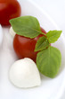 tomaten und mozzarella mit basilkum