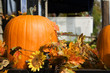 pumpkins
