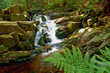 ilsewasserfall im harz ilsewasserfall im harz