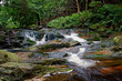wasserfall im harz