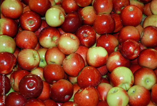 Photo: apples apples