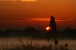 foggy sunrise