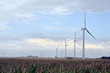 eolienne en marche ...