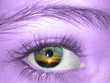 yeux marron