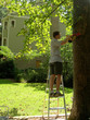 building playset