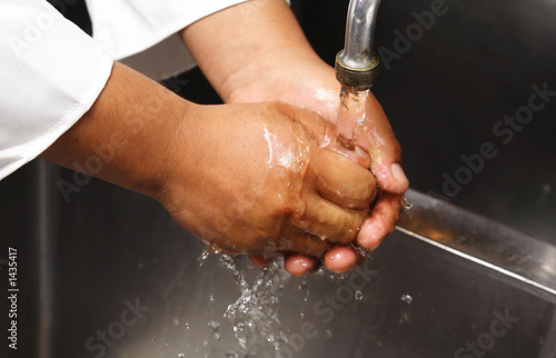 chef washing hand chef washing hand