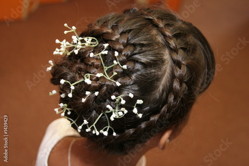 Flower Girl Hairstyles  Weddings on Wedding Girl Hair Flower Petal  Brown    Paul Retherford  1439429