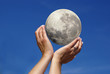 capture de lune capture de lune