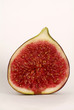 feigen_3