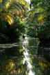 india, kerala: landscape india, kerala: landscape