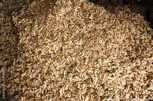 india, cochin: ginger storehouse india, cochin: ginger storehouse