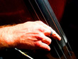 jazzman 4