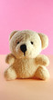 teddy bear