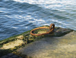 rusty ring rusty ring